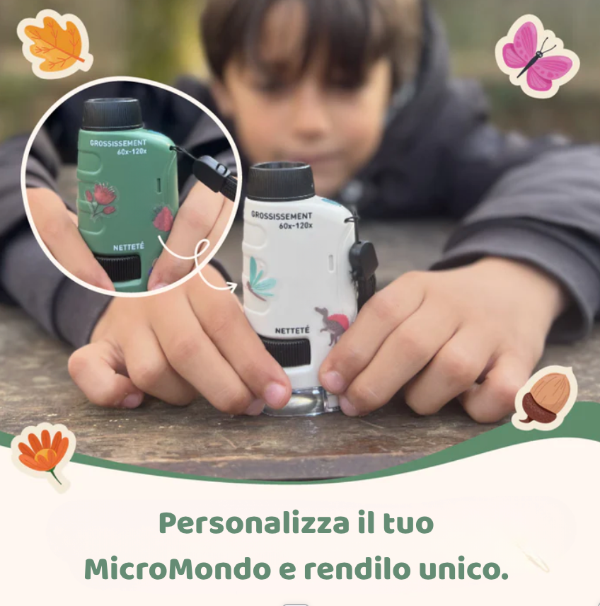 MicroMondo